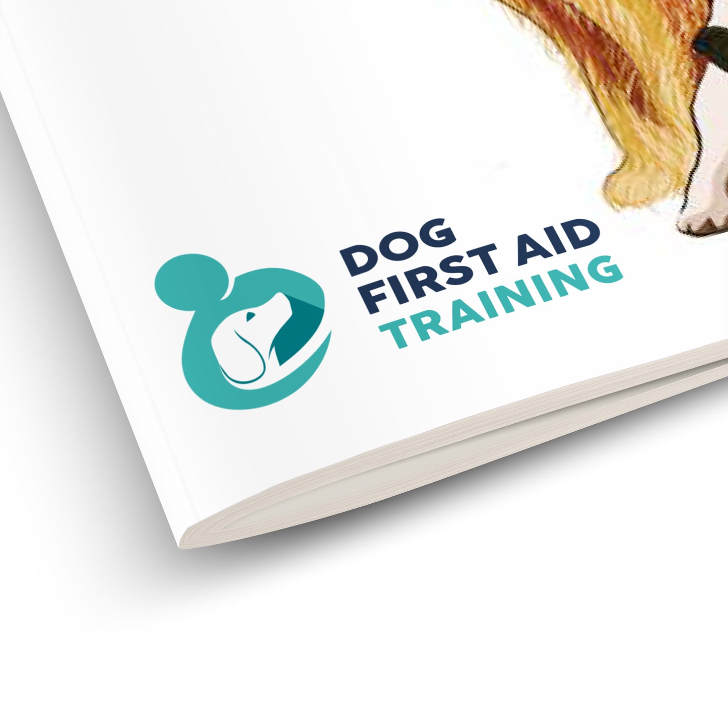 The Dog First Aid Guide to Weekly Health Checks